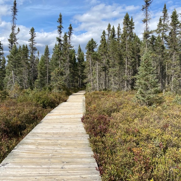 Meet your Posher, Megan - Picture 1 of 1